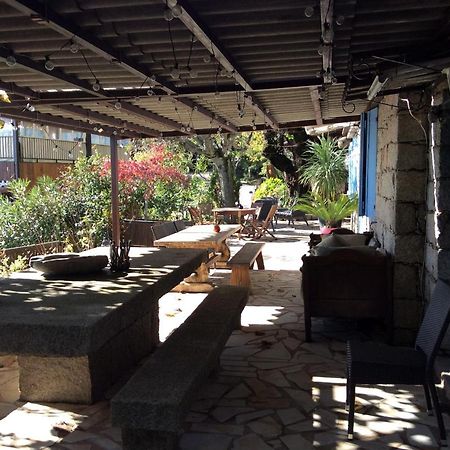 A Tigliola Porto-Vecchio (Corsica) Exterior foto
